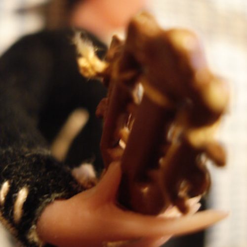 contes mediterraneens